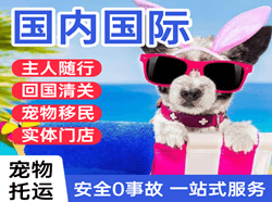万州五桥机场货运国际宠物托运 【国